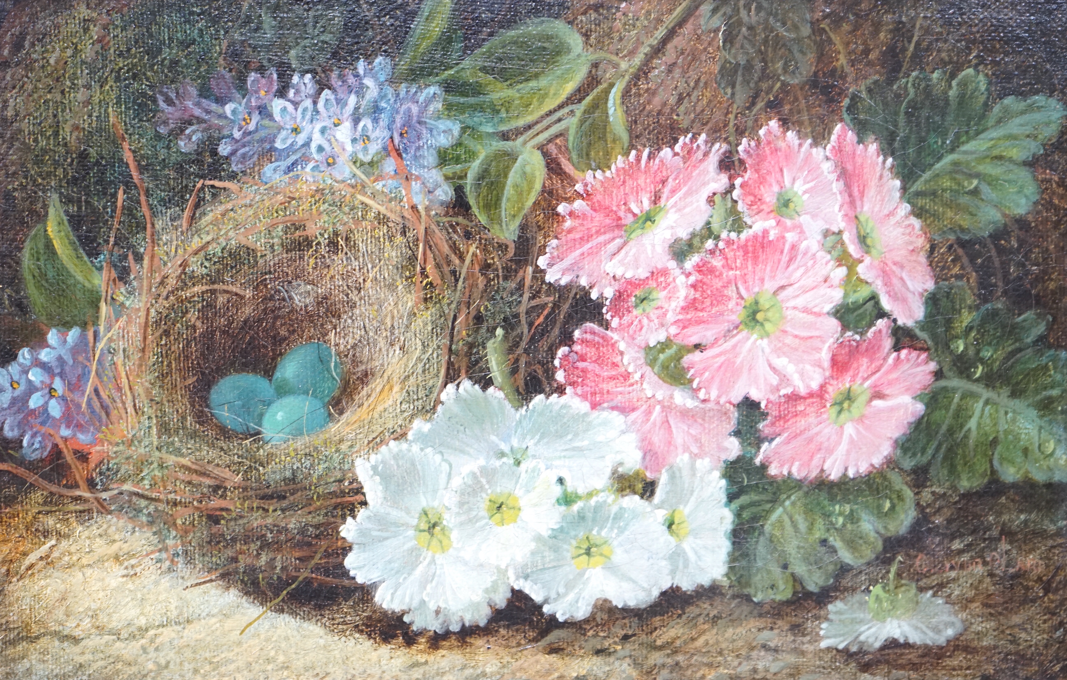 Oliver Clare (1853-1927), oil on canvas, ‘’Still life with a Robins nest and apple blossom’’, signed, 14.5 x 23cm